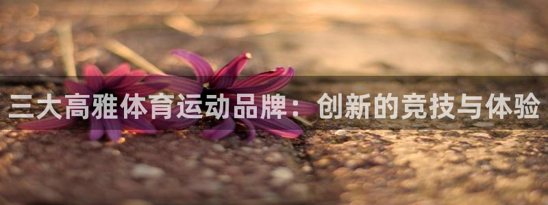 xc体育app官方网站