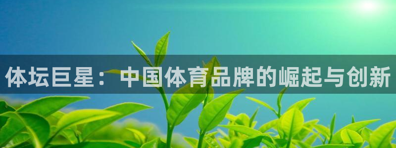 xc体育