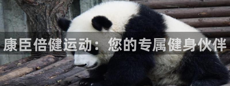 xc体育app官方网站