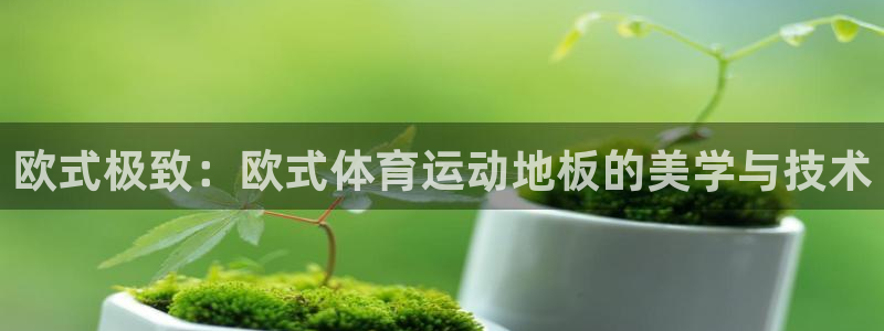xc体育app官方网站