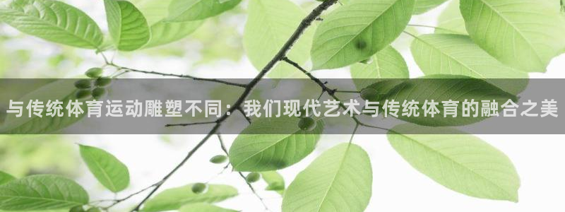 xc体育