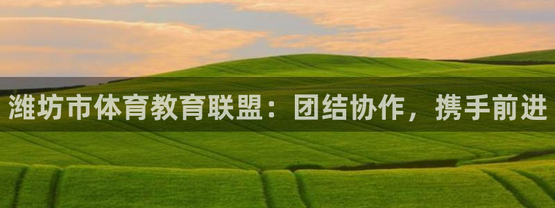 xc体育