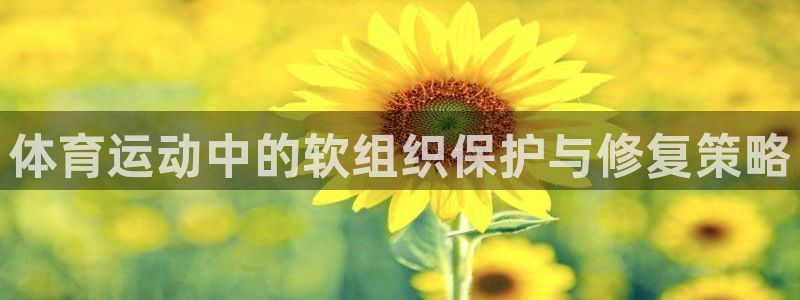 xc体育app官方网站