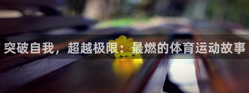 xc体育