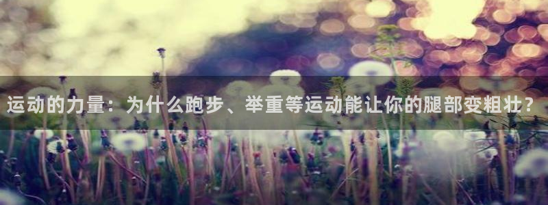 xc体育