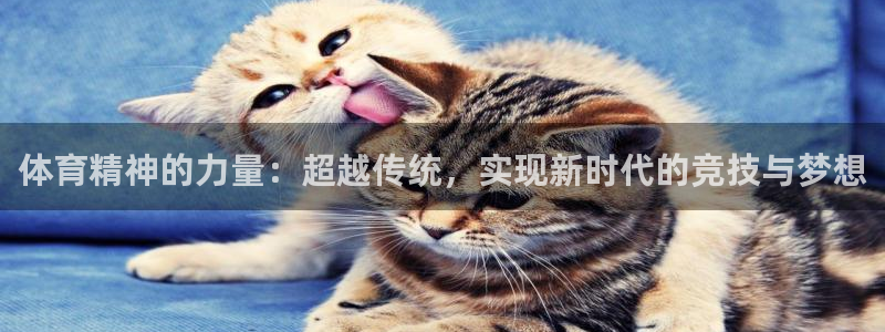 xc体育app官方网站