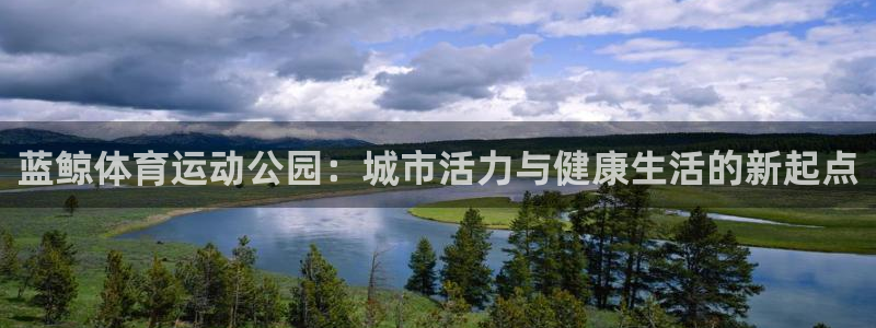xc体育