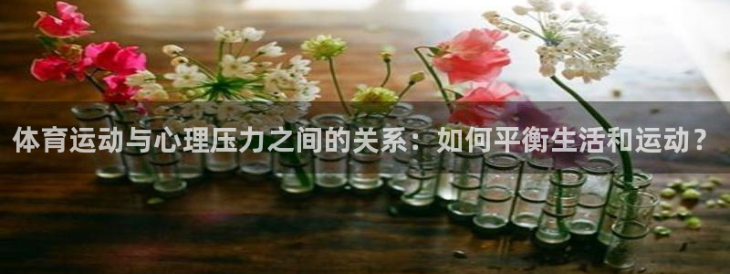 xc体育
