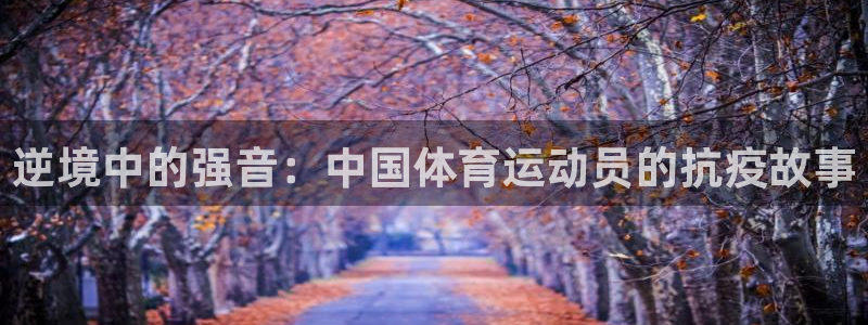 xc体育app官方网站