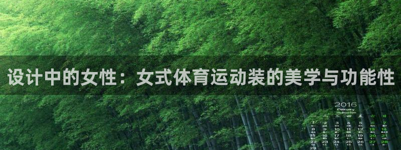 xc体育