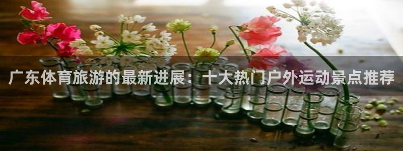 xc体育