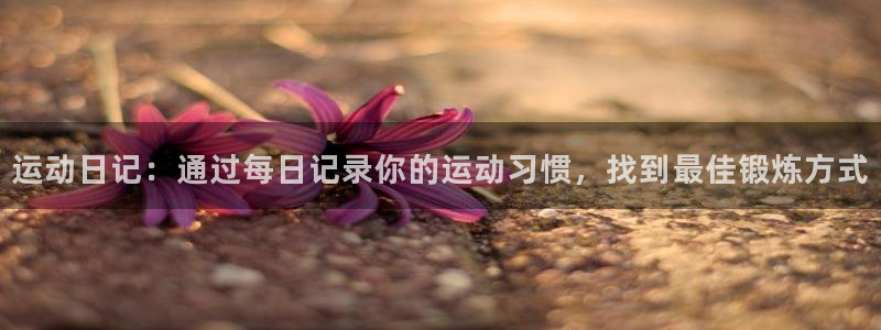 xc体育